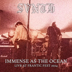 Immense as the Ocean