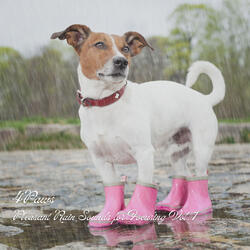 Gushing Winds on Rainy Weather