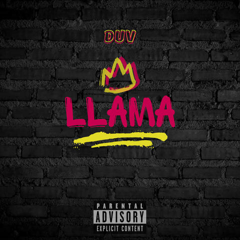 Llama