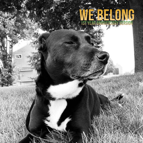 We Belong