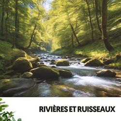 Rumeurs de la forêt enchantée