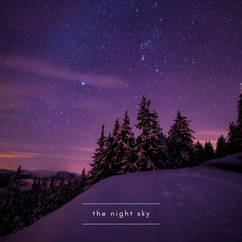 The Night Sky