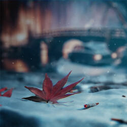 Meet in the snow