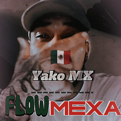 FLOWMexaa