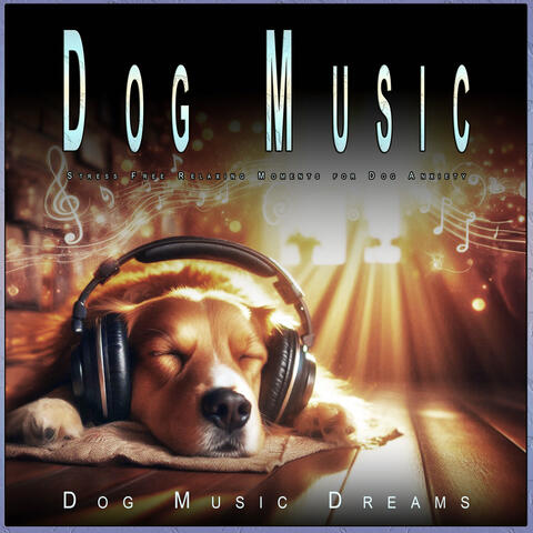 Dog Music: Stress Free Relaxing Moments for Dog Anxiety