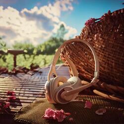 Harmonious Soundscape Path