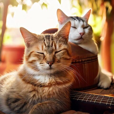 Quiet Purrs: Calming Music for Cats