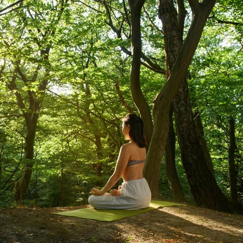 Mind Healing: Music for Spiritual Meditation