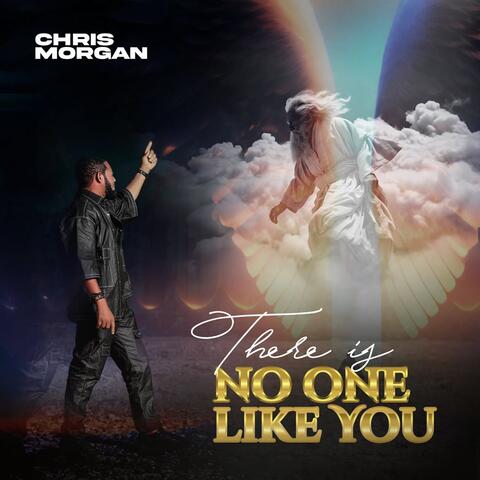 There Is No One Like You