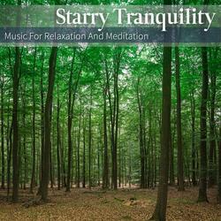 Wandering Thoughts Still Waters