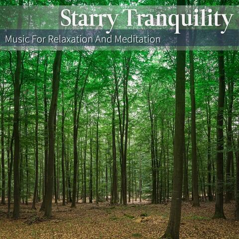 Music For Relaxation And Meditation