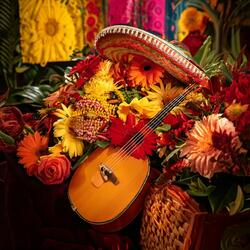 Vibrant Fiesta Sounds