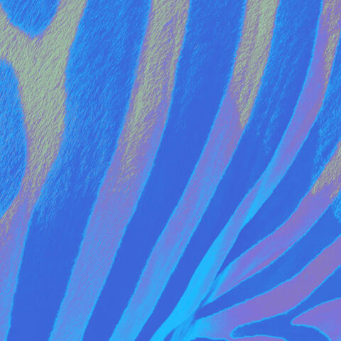 BabyBlue