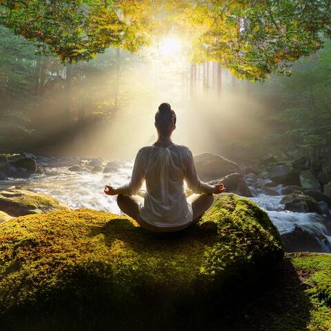 Armonía De Hip Hop: Meditación En Movimiento