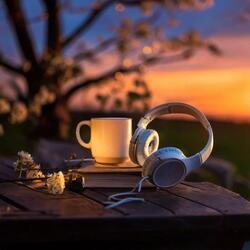 Relaxation Begins Now