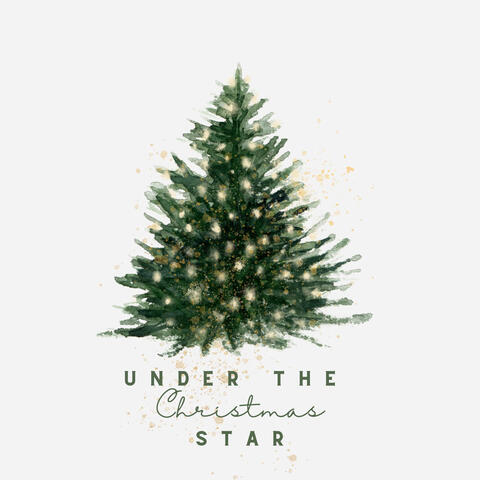 Under the Christmas Star