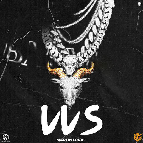 VVS