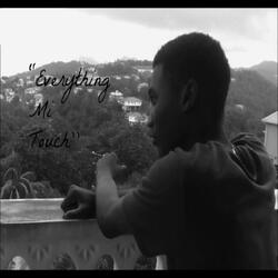 Everything Mi Touch