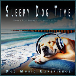 Adorable Dog Sleep Melodies