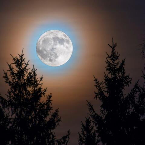Nighttime Tranquility: Gentle Music Melodies