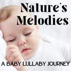Sunlit Pond’s Reflective Baby Lullaby