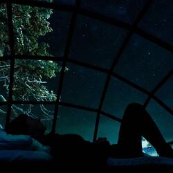 Quiet Night’s Melody