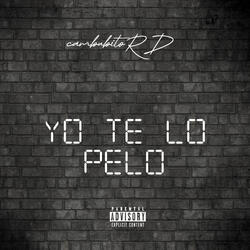 yo te lo pelo
