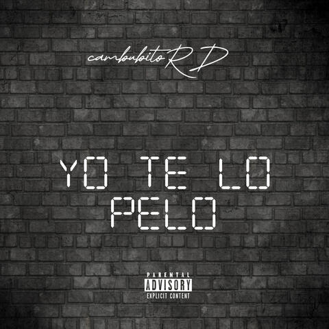 yo te lo pelo