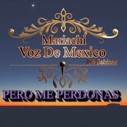Pero Me Perdonas