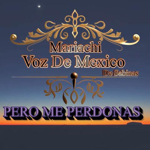 Pero Me Perdonas
