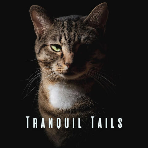 Tranquil Tails: Relaxing Sounds for Pet Relaxation