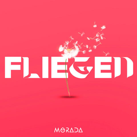 FLIEGEN