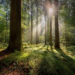 Hidden Wonders