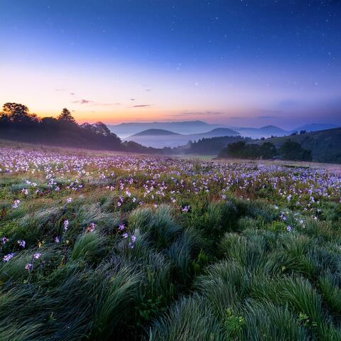 Music For Magical Moments And Quiet Reflections