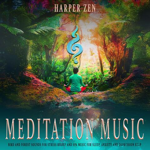 Meditation Music: Bird and Forest Sounds for Stress Relief and Spa Music for Sleep, Anxiety and Depression Help