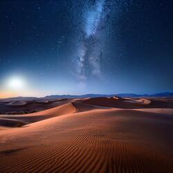 Restful Vibes in the Dark