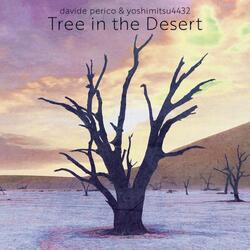 Tree in the Desert