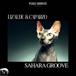 Sahara Groove