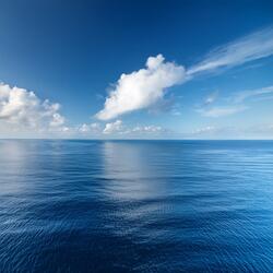 Return To The Horizon