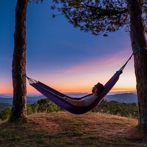 The Lullaby Symphony: Orchestral Harmonies For Restful Slumber