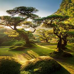 The Gentle Flow Of Time