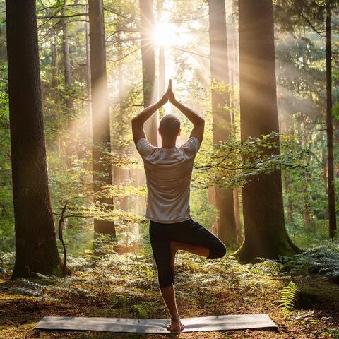 The Yoga Orchestra: Harmonies For Mindful Movement