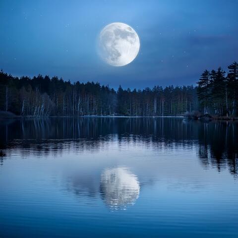 Orchestra Of Serene Slumber: Calming Symphonies For A Restful Night