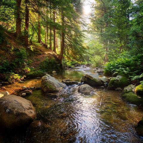 Orchestra Of Serene Journeys: Orchestral Soundscapes For Tranquil Adventures