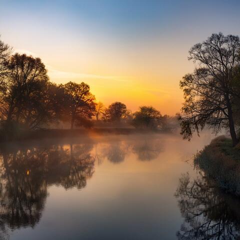 Orchestra Of Celestial Dreams: Heavenly Symphonies For Tranquil Moments