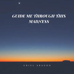 Guide Me Through This Madness
