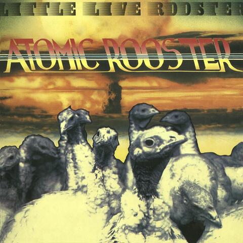 Little Live Rooster - London 1972