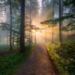 Peaceful Reflections Of The Heart