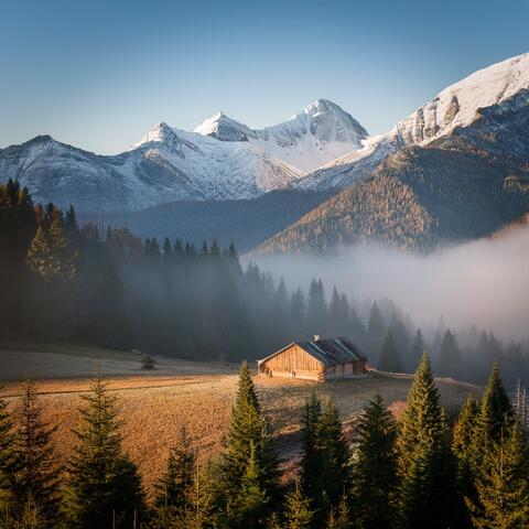 Focused Harmony: Orchestral Soundscapes For Deep Concentration And Clarity