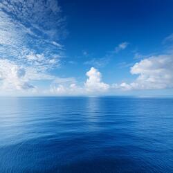 Aligning Thought With Action